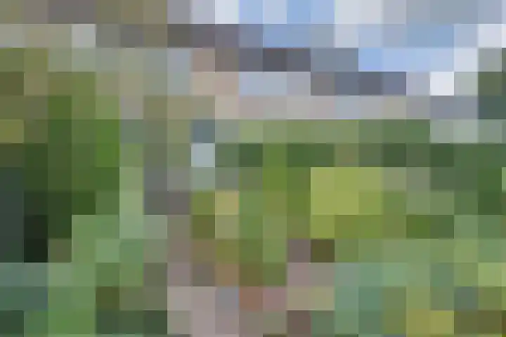 Populierenhof 47 Sliedrecht thumbnail 34