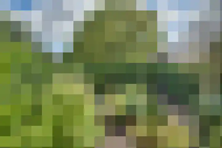 Populierenhof 47 Sliedrecht thumbnail 35