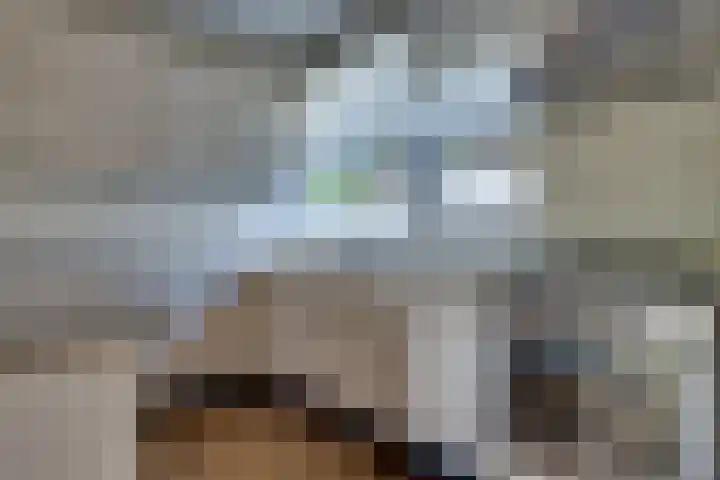 Populierenhof 47 Sliedrecht thumbnail 6