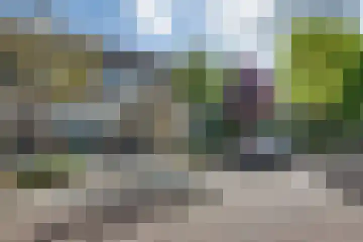 Populierenhof 47 Sliedrecht thumbnail 7
