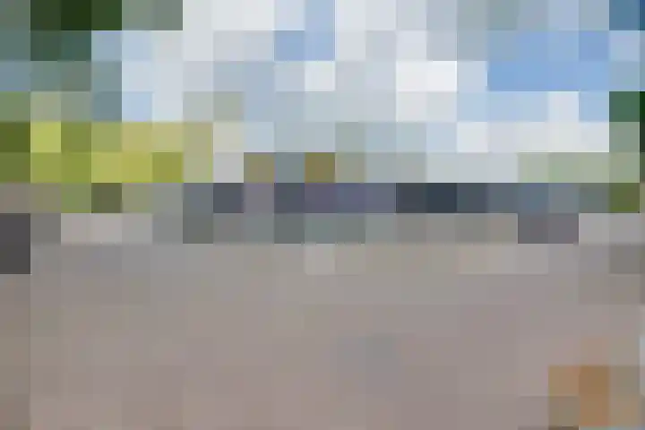 Populierenhof 47 Sliedrecht thumbnail 8