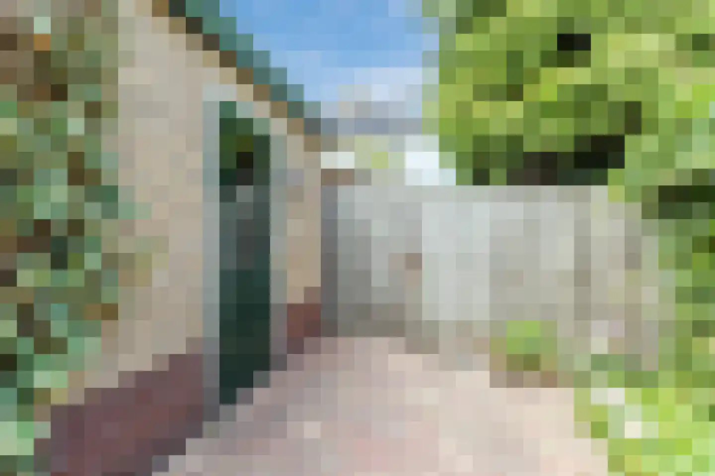 Populierenhof 52 Bodegraven thumbnail 39