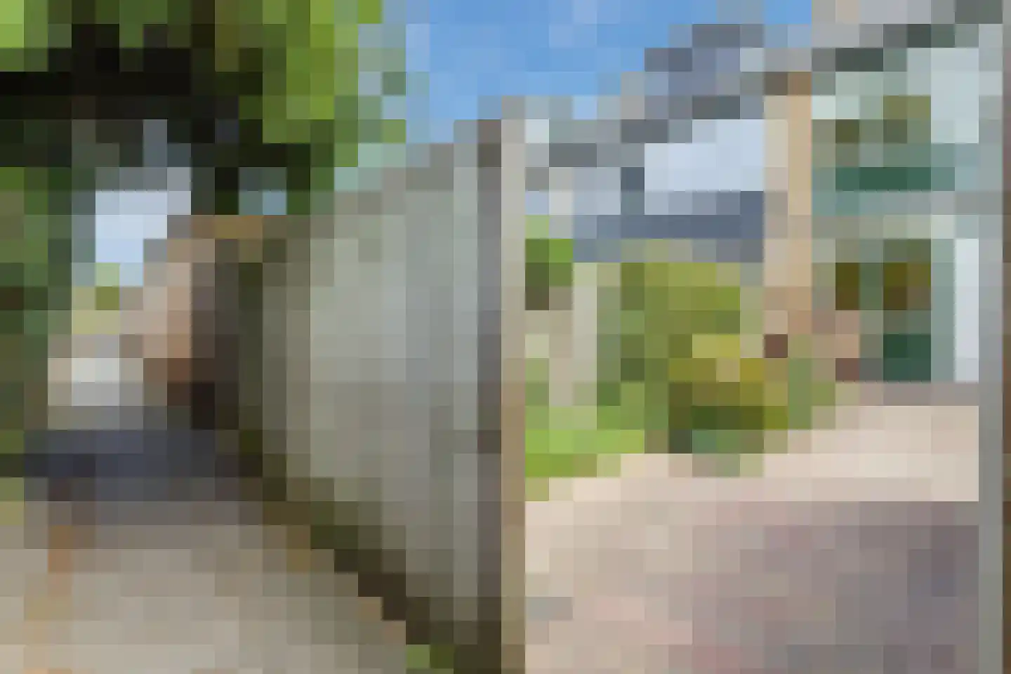 Populierenhof 52 Bodegraven thumbnail 42