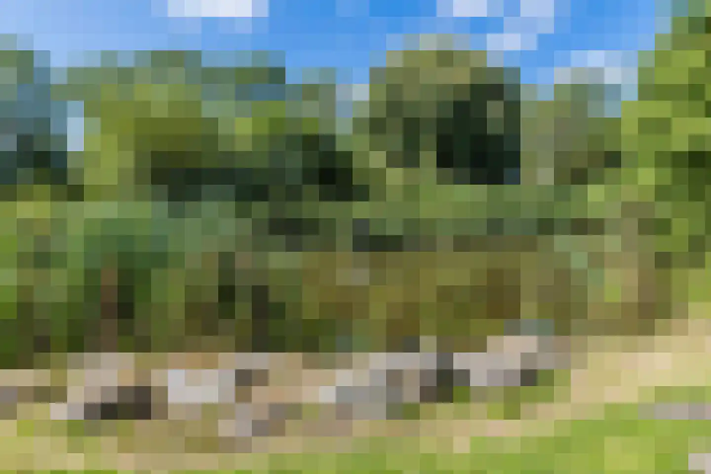 Populierenhof 52 Bodegraven thumbnail 45