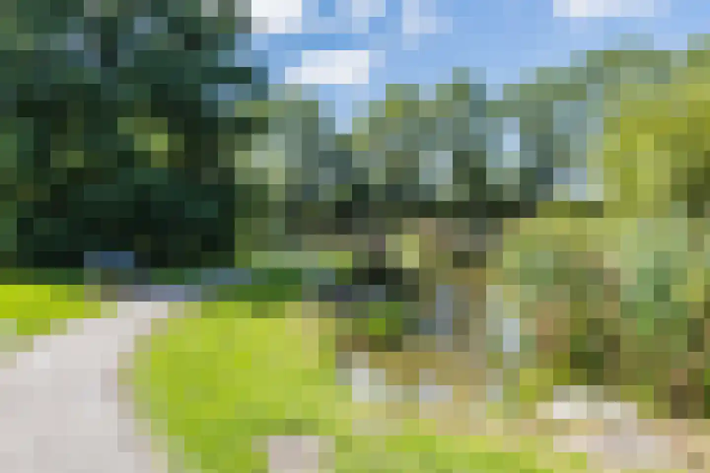 Populierenhof 52 Bodegraven thumbnail 46