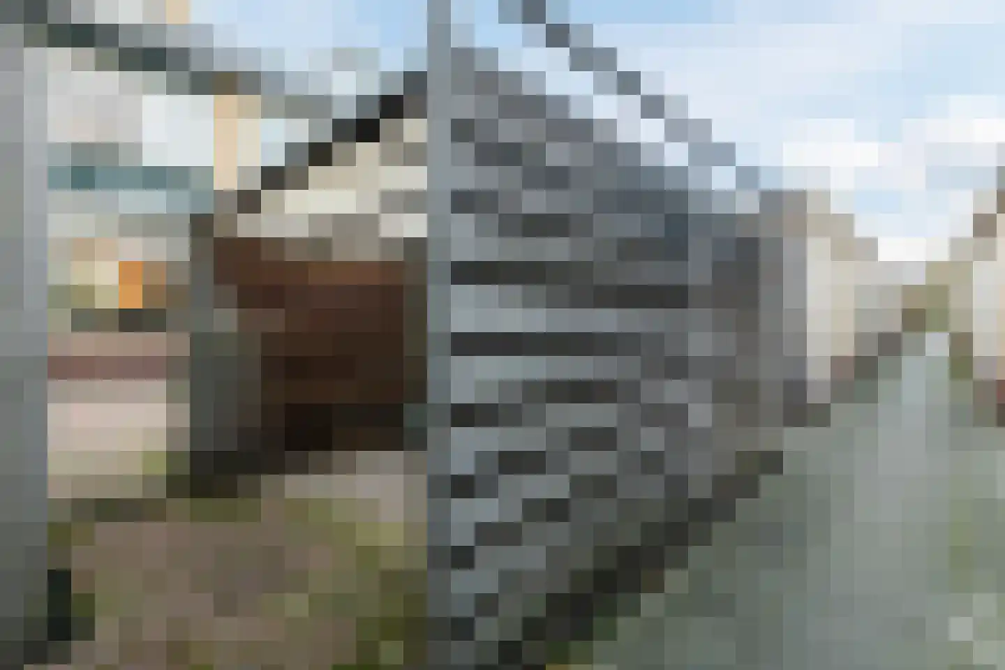 Populierenhof 66 Bodegraven thumbnail 33