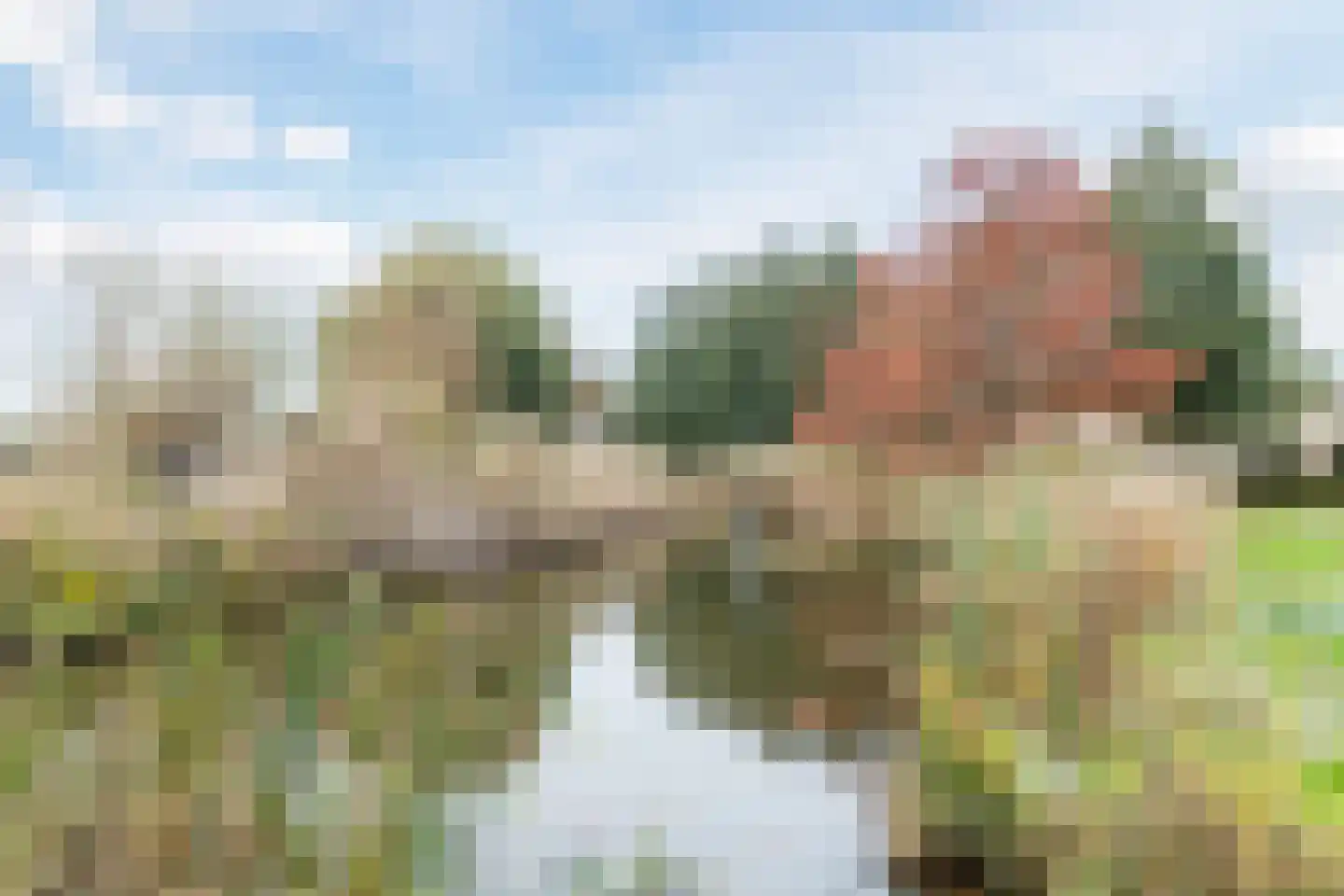 Populierenhof 66 Bodegraven thumbnail 37
