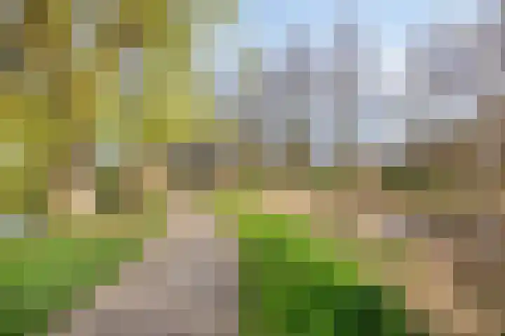Populierenhof 75 Bodegraven thumbnail 30