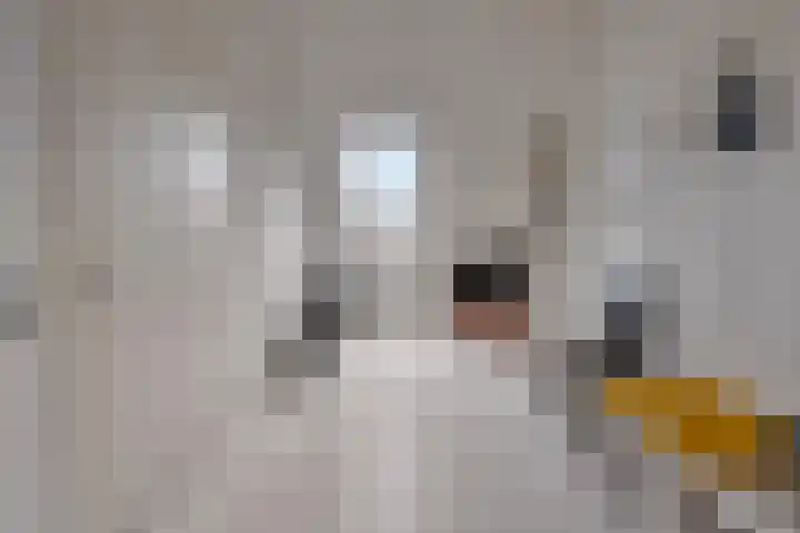 Populierenhout 14 Barendrecht thumbnail 27