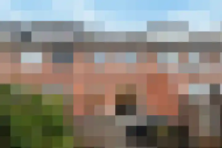 Populierenhout 14 Barendrecht thumbnail 30