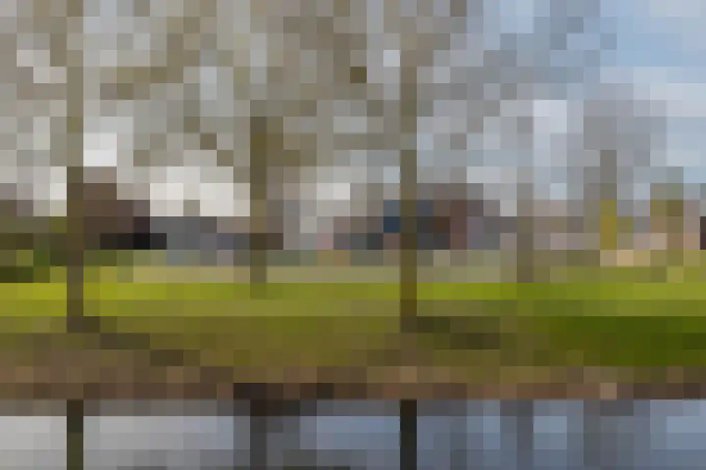 Populierenhout 27 Barendrecht thumbnail 38