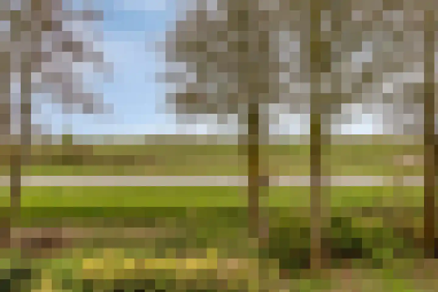 Populierenlaan 1 Kamperland thumbnail 25
