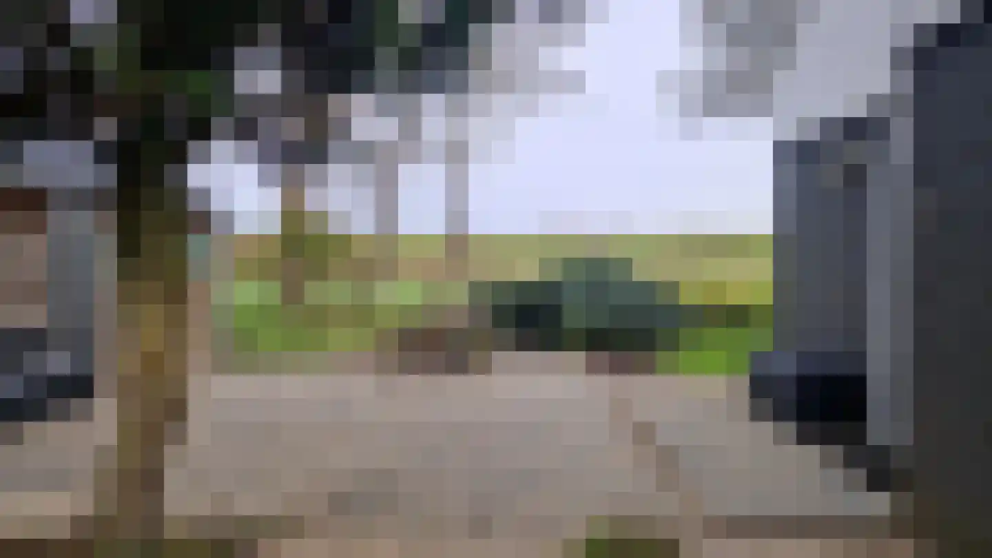 Populierenlaan 1 Kamperland thumbnail 31