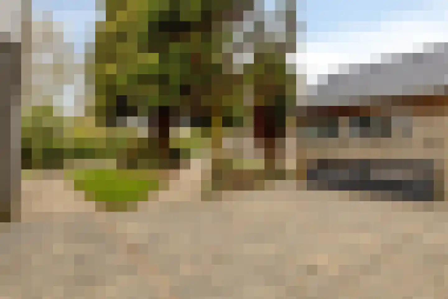 Populierenlaan 1 Kamperland thumbnail 32