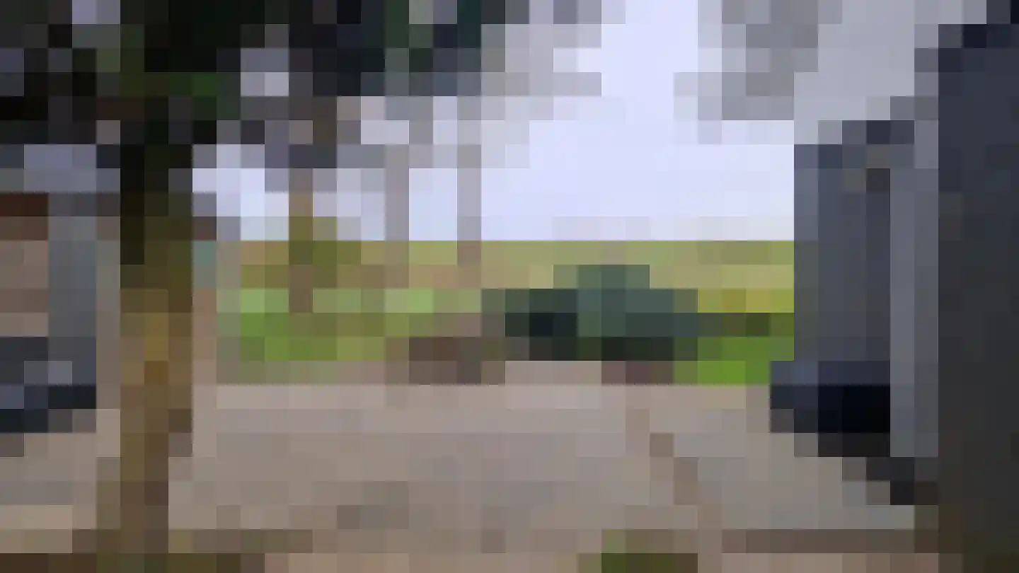Populierenlaan 1 Kamperland thumbnail 32
