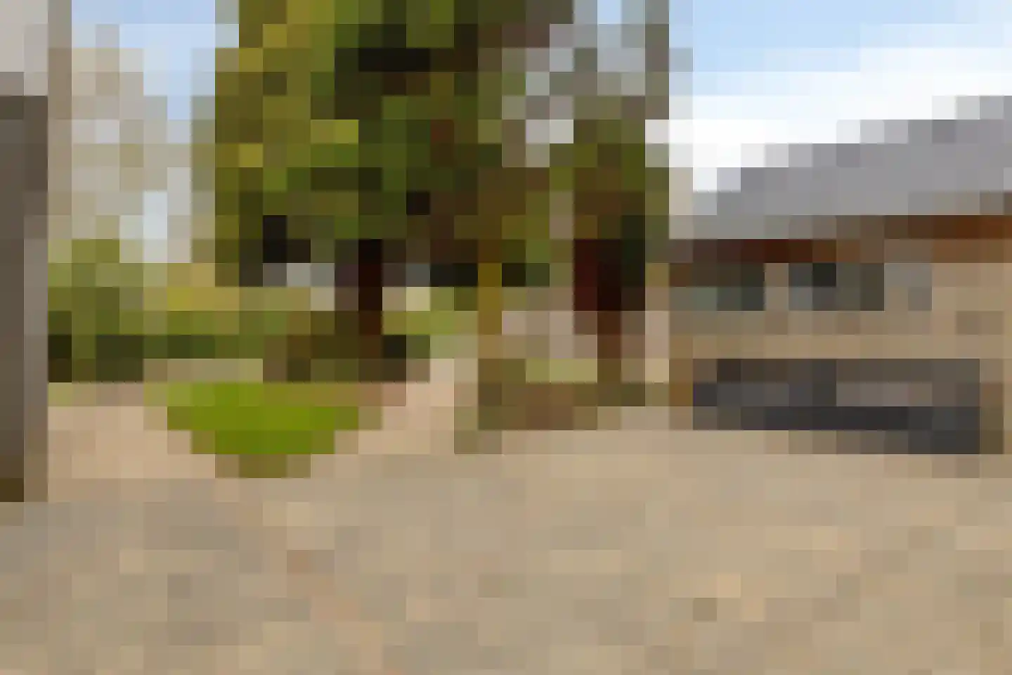 Populierenlaan 1 Kamperland thumbnail 33