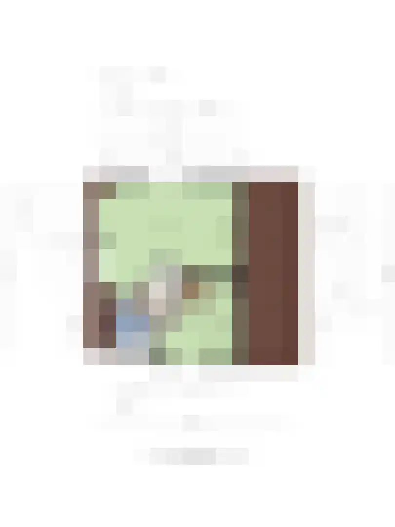 Populierenlaan 1 Kamperland thumbnail 43