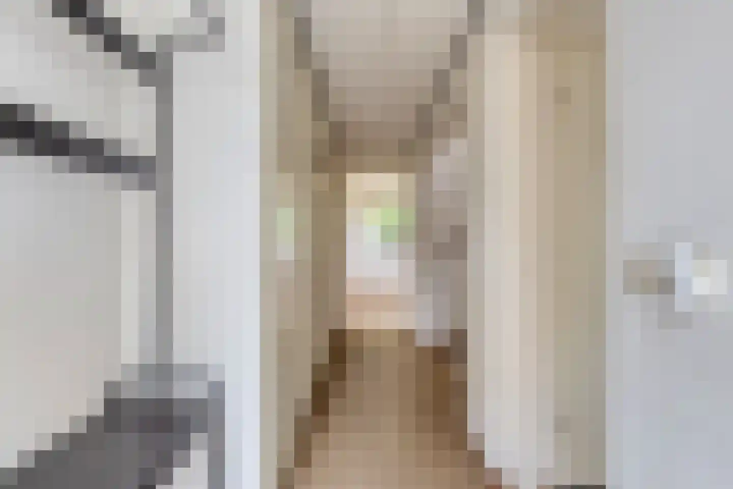 Populierenlaan 1 Kamperland thumbnail 5