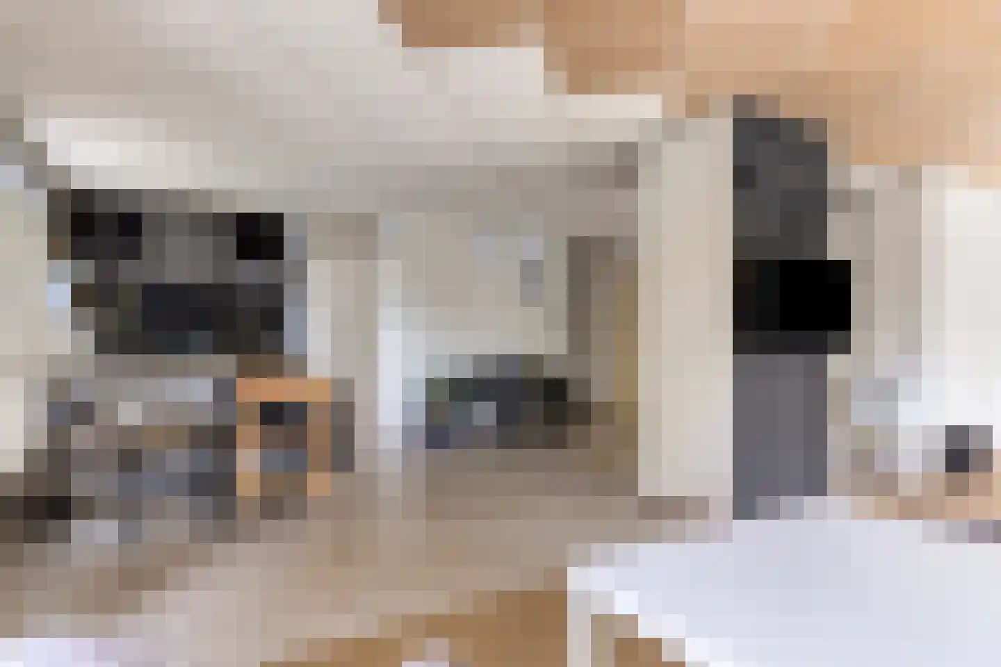 Populierenlaan 1 Kamperland thumbnail 9