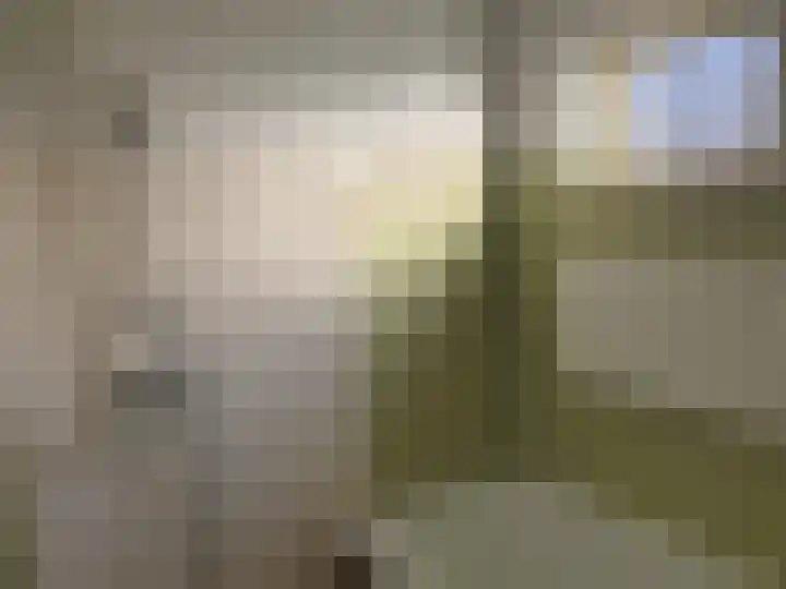 Populierenlaan 10 Enkhuizen thumbnail 17