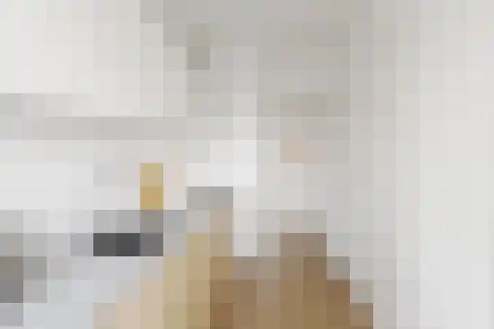 Populierenlaan 107 Groningen thumbnail 19