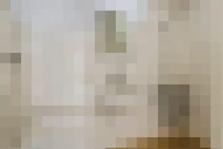 Populierenlaan 107 Groningen thumbnail 27