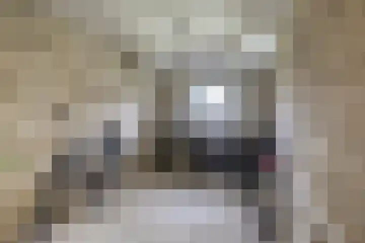 Populierenlaan 107 Groningen thumbnail 30