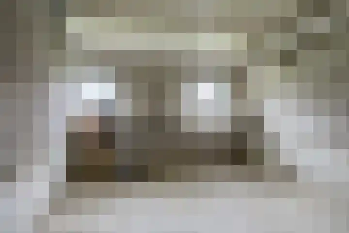 Populierenlaan 107 Groningen thumbnail 32