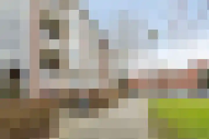 Populierenlaan 107 Groningen thumbnail 35