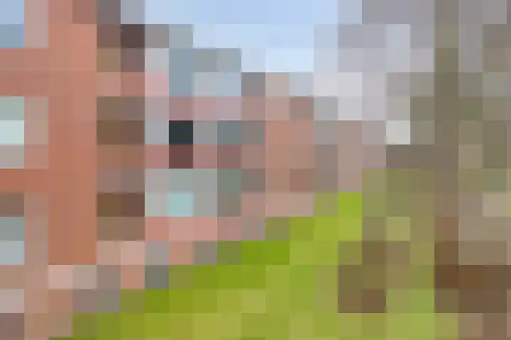 Populierenlaan 107 Groningen thumbnail 37