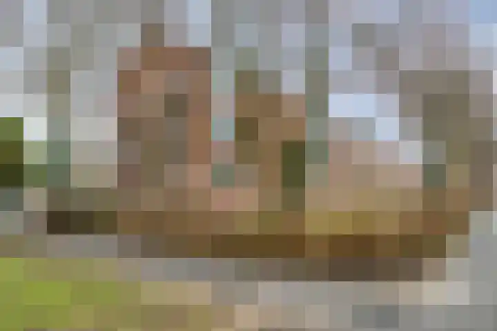 Populierenlaan 107 Groningen thumbnail 38