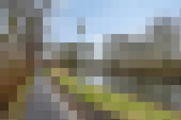 Populierenlaan 107 Groningen thumbnail 42