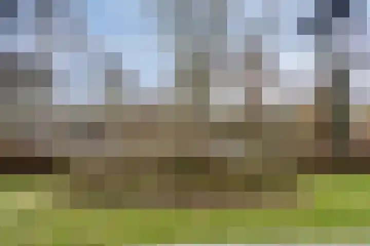 Populierenlaan 107 Groningen thumbnail 43