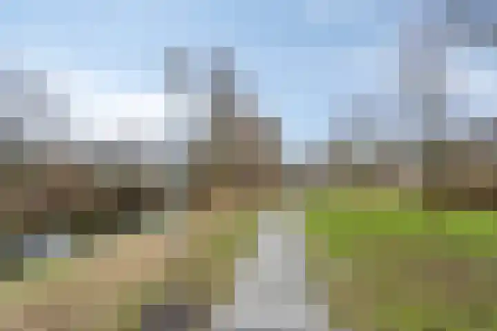 Populierenlaan 107 Groningen thumbnail 44