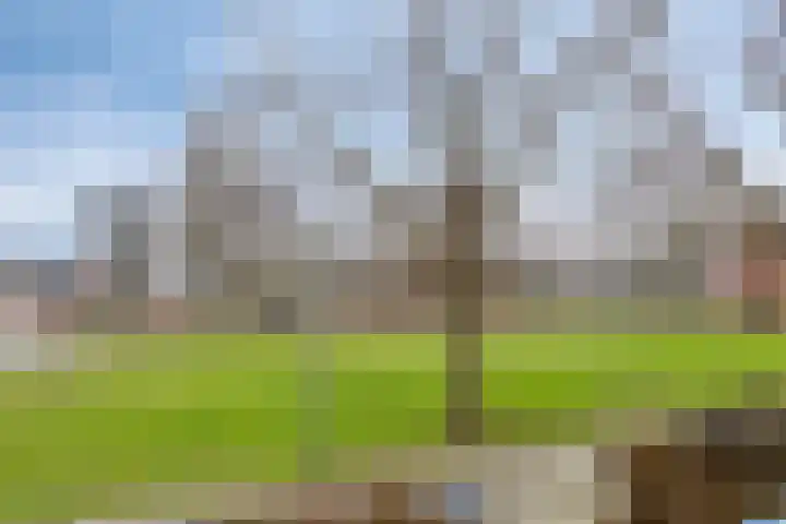 Populierenlaan 107 Groningen thumbnail 46