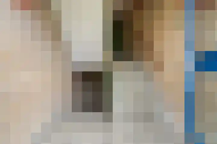 Populierenlaan 107 Groningen thumbnail 8