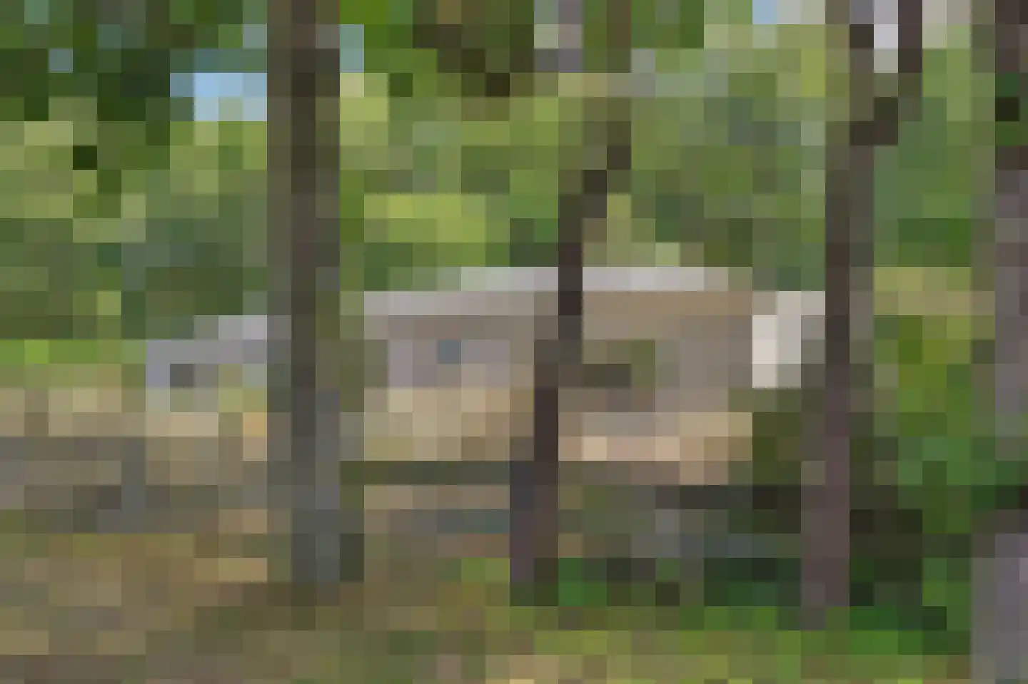 Populierenlaan 11 Burgh-Haamstede thumbnail 4