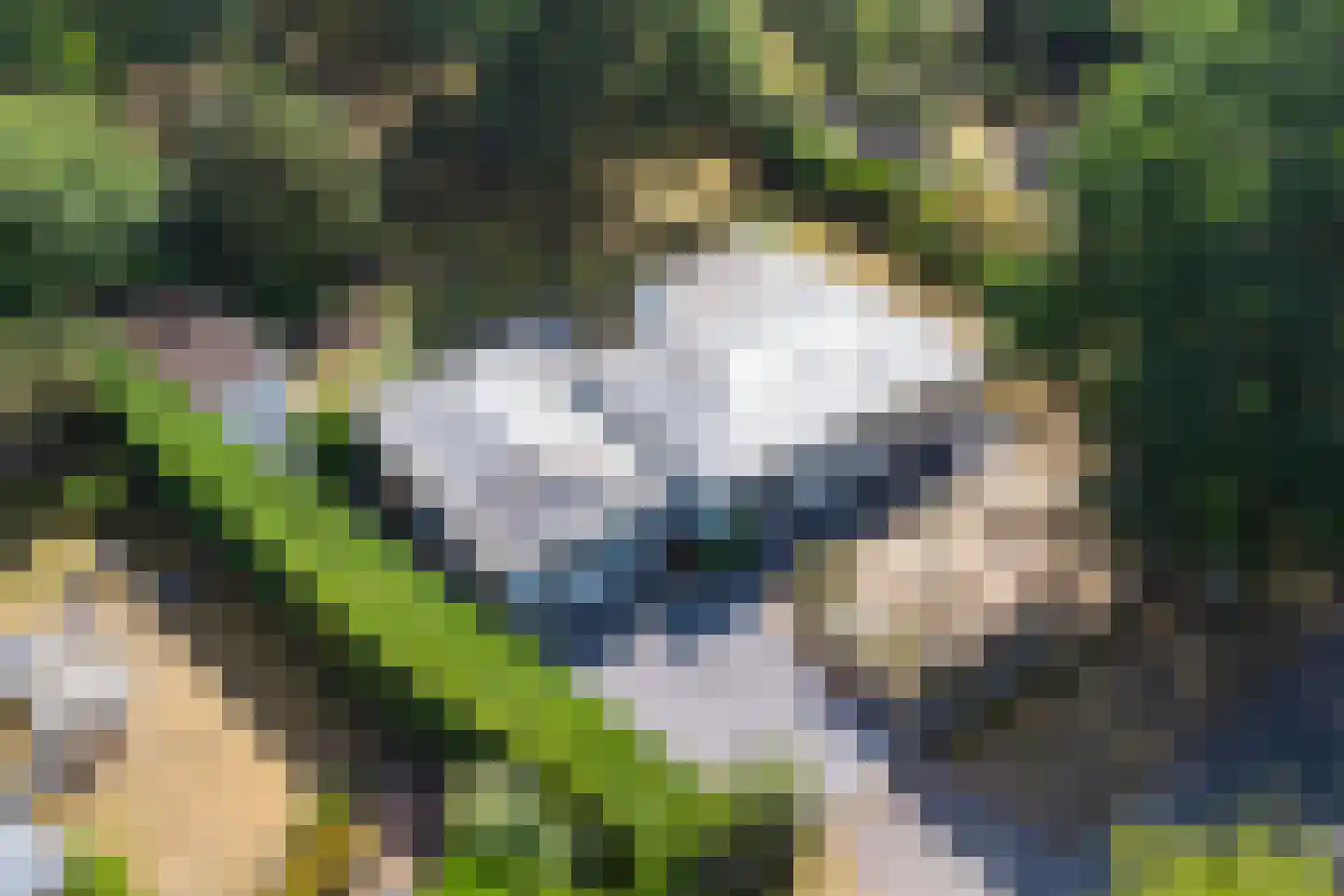 Populierenlaan 11 Burgh-Haamstede thumbnail 5