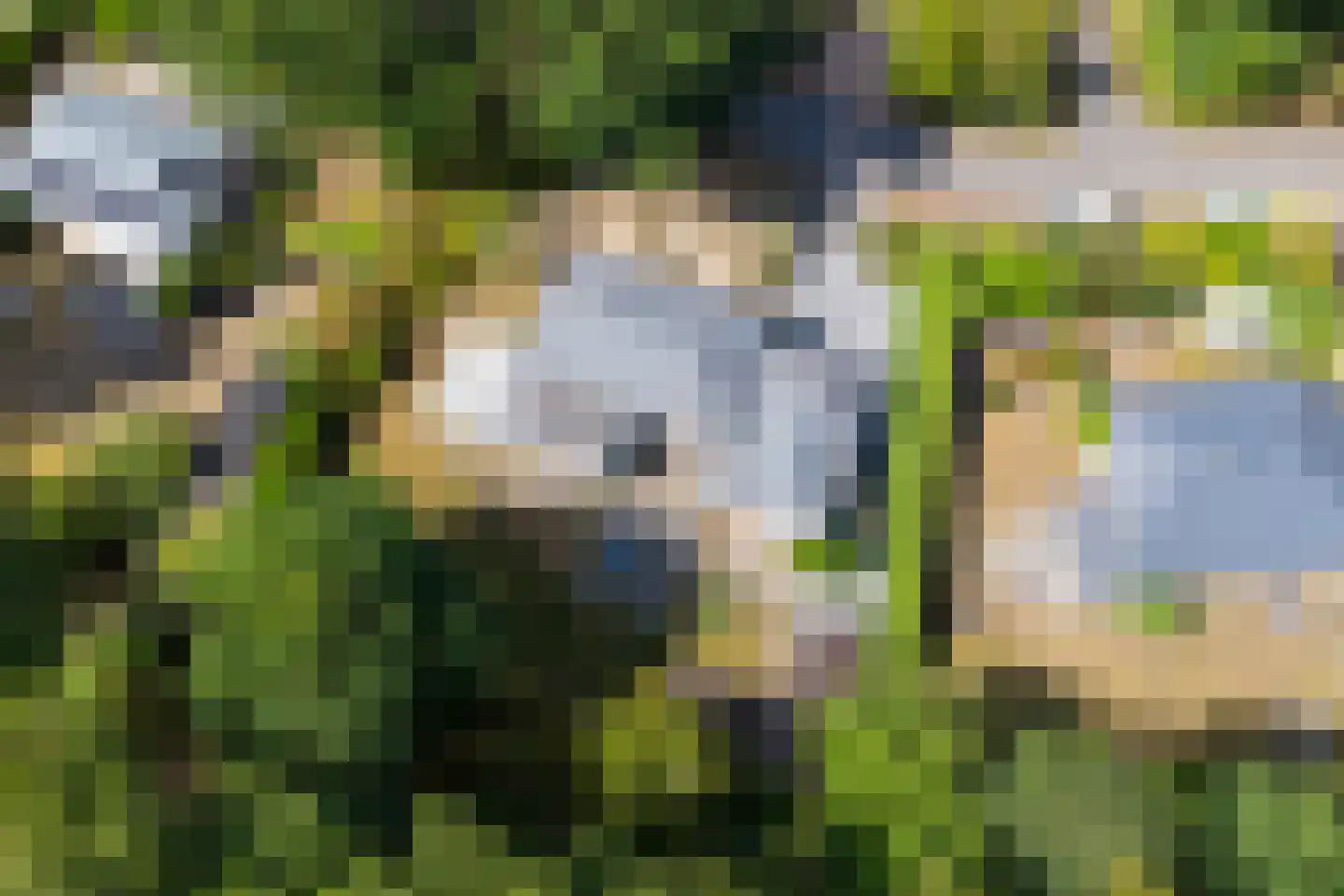 Populierenlaan 11 Burgh-Haamstede thumbnail 6