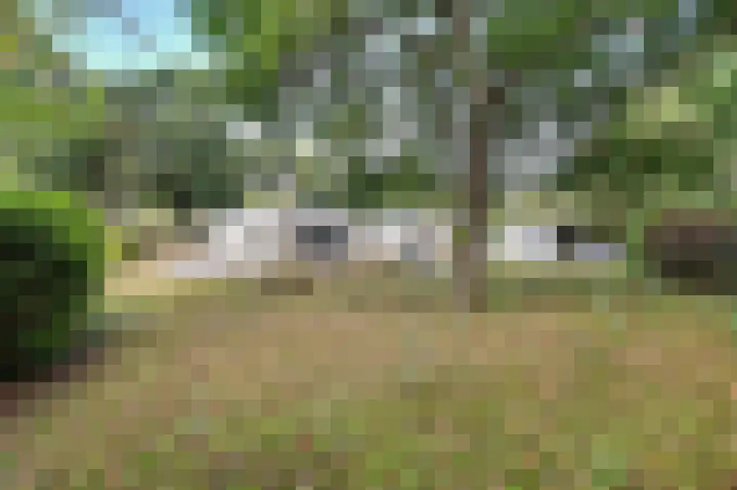 Populierenlaan 11 Burgh-Haamstede thumbnail 8