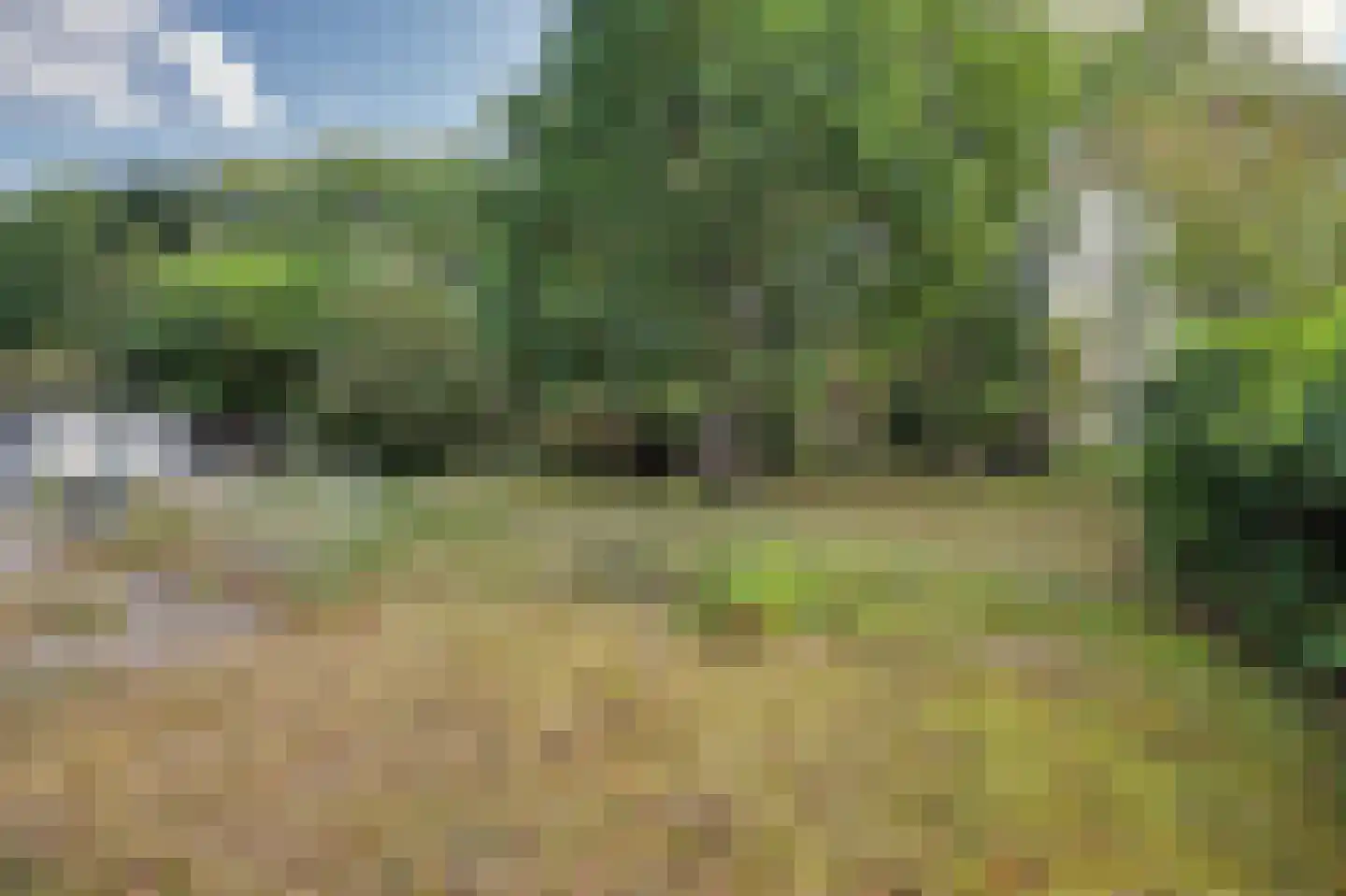 Populierenlaan 11 Burgh-Haamstede thumbnail 9