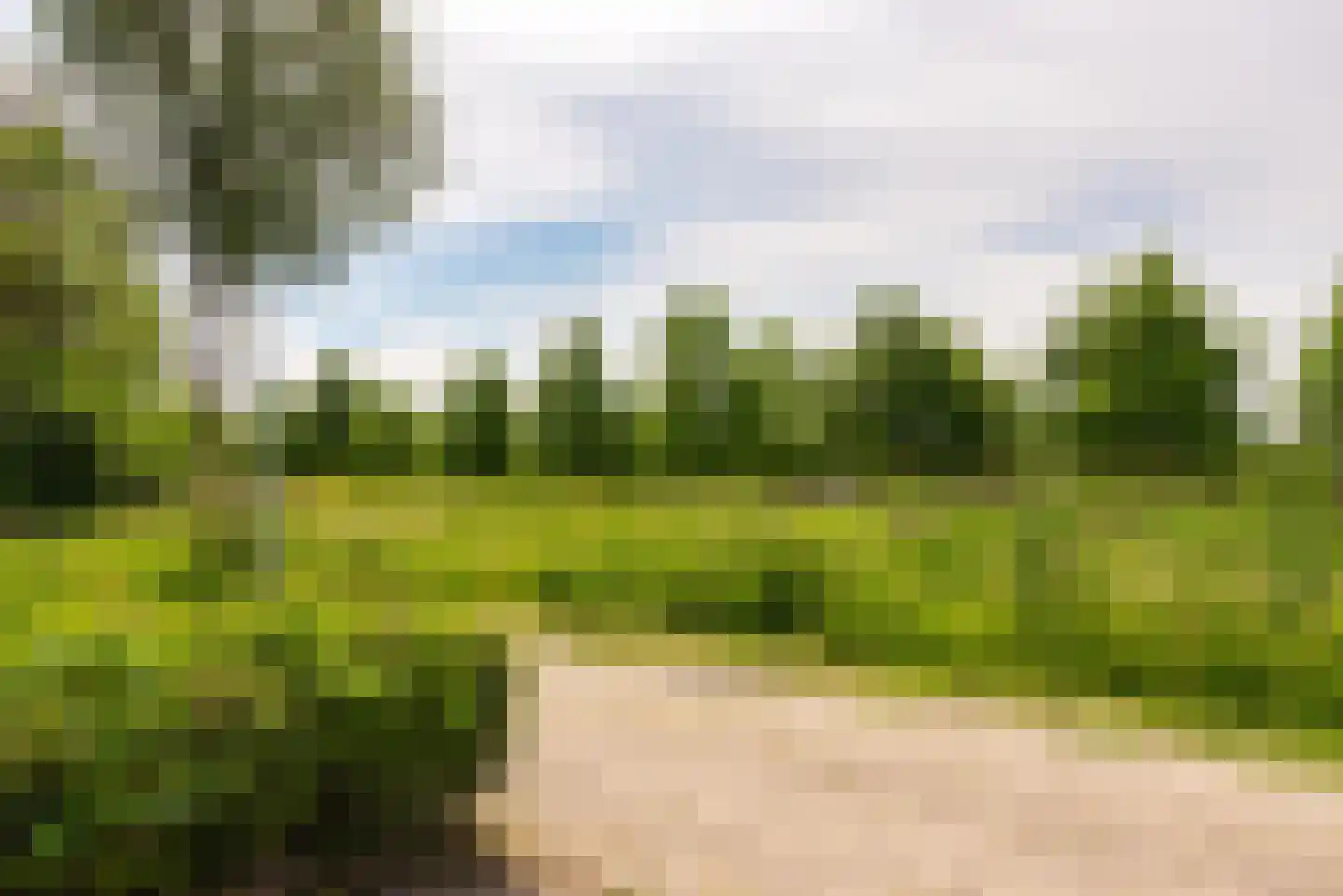 Populierenlaan 112 Zwanenburg thumbnail 26