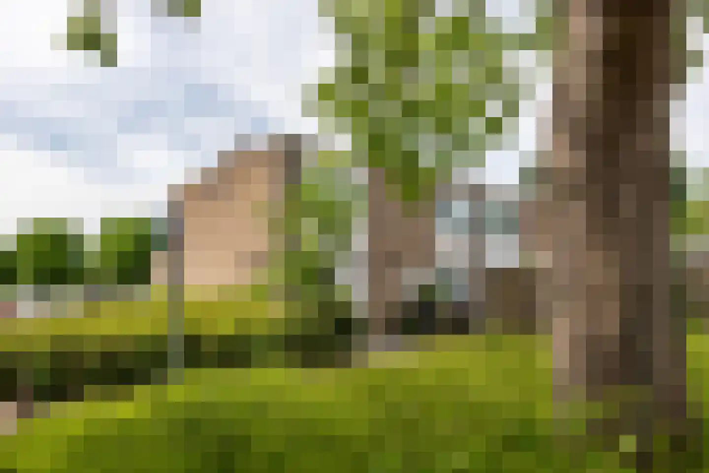 Populierenlaan 112 Zwanenburg thumbnail 28