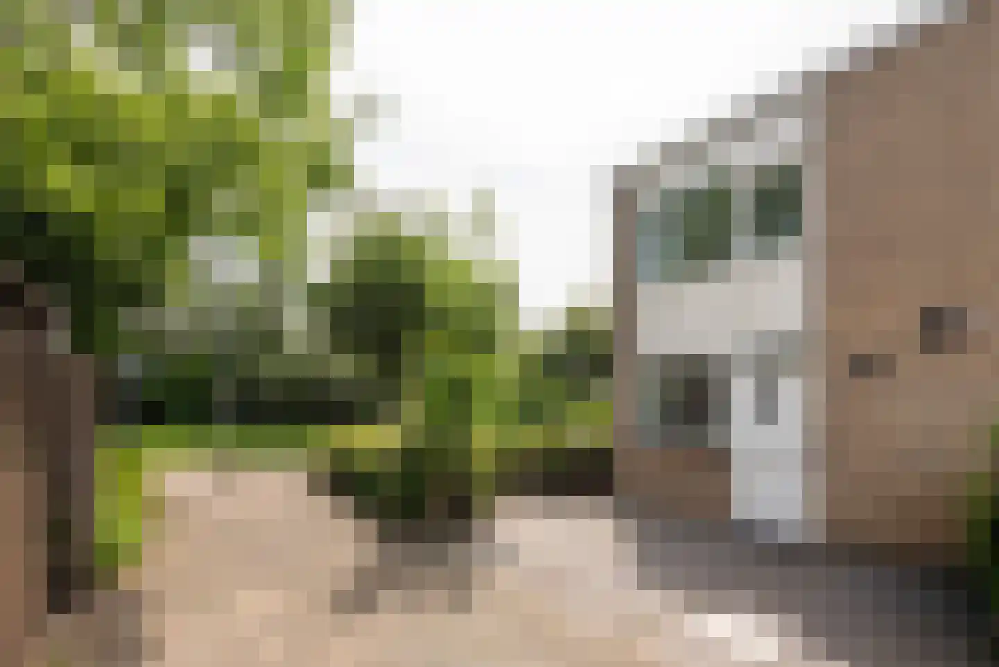 Populierenlaan 112 Zwanenburg thumbnail 5