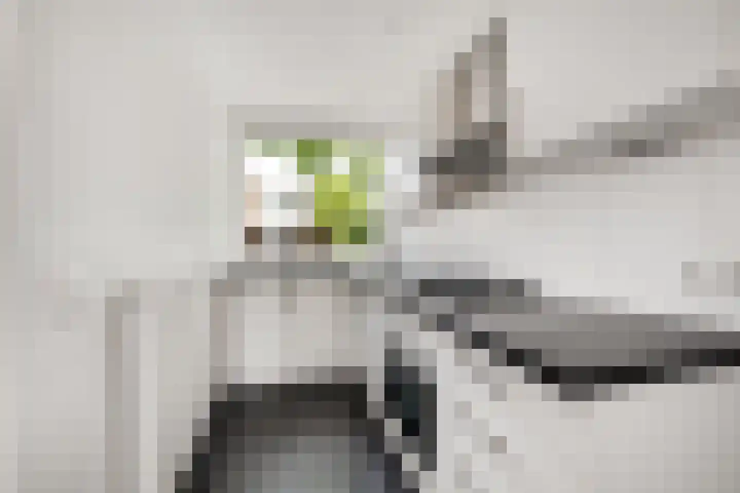 Populierenlaan 112 Zwanenburg thumbnail 6
