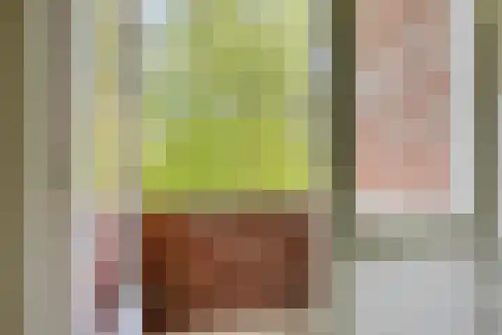 Populierenlaan 115 Groningen thumbnail 11
