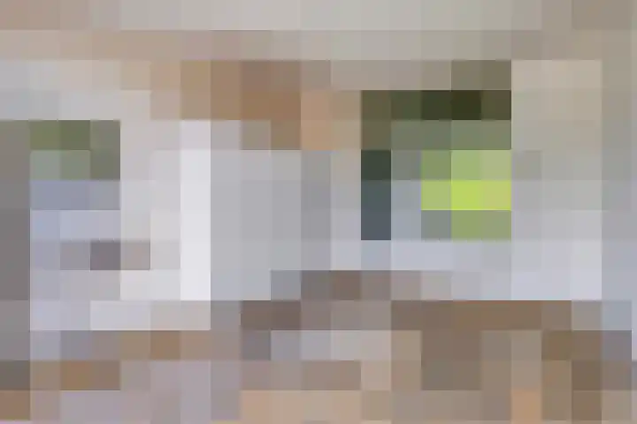 Populierenlaan 115 Groningen thumbnail 13
