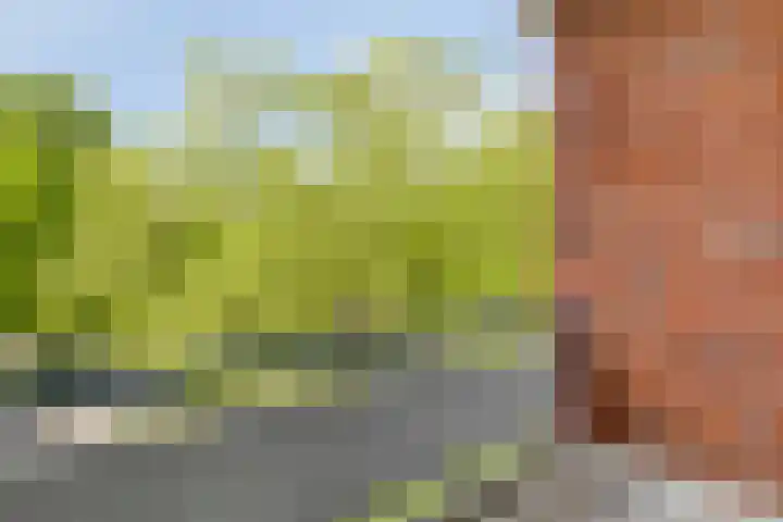Populierenlaan 115 Groningen thumbnail 16