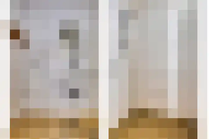 Populierenlaan 115 Groningen thumbnail 17