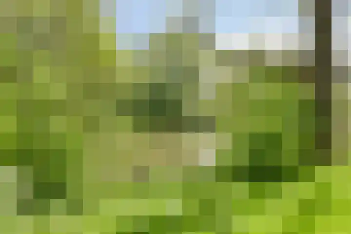 Populierenlaan 115 Groningen thumbnail 28